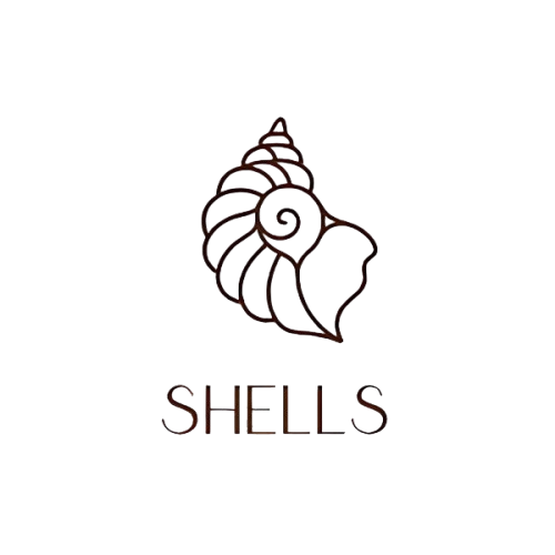 Shells